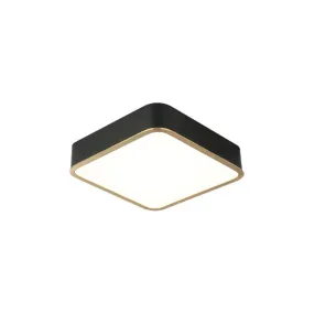 Ainslay LED Ceiling Mount