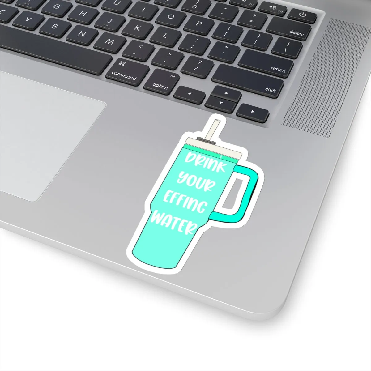 Drink Your Effing Water Mint Sticker, Water Bottle Kiss-Cut Sticker