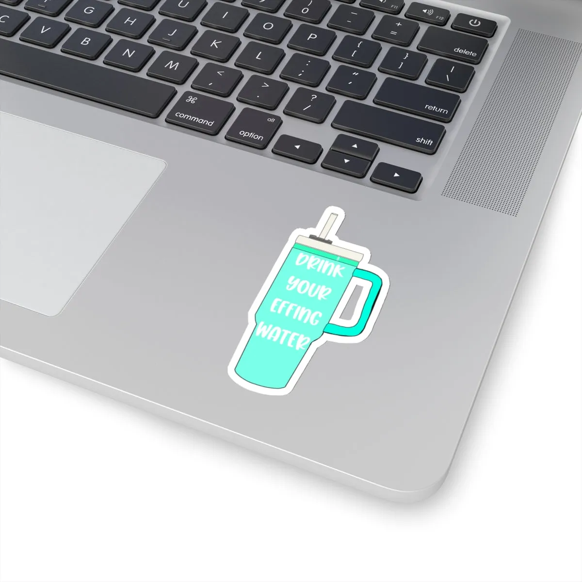 Drink Your Effing Water Mint Sticker, Water Bottle Kiss-Cut Sticker