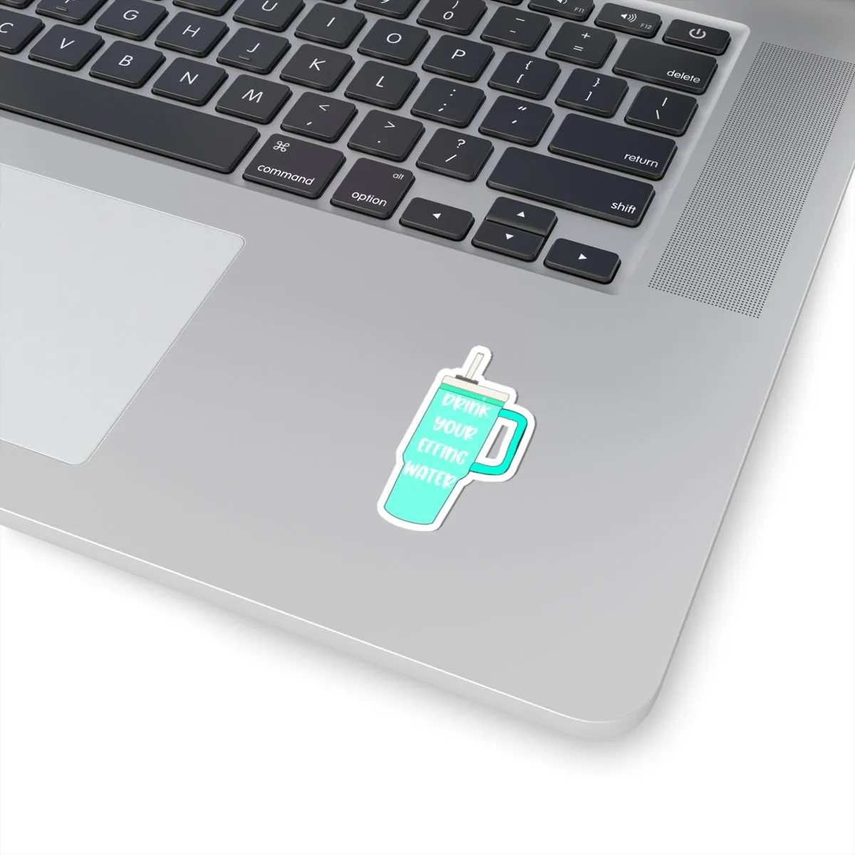 Drink Your Effing Water Mint Sticker, Water Bottle Kiss-Cut Sticker