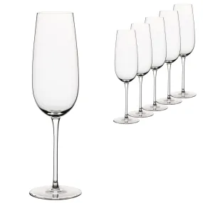 Elia Leila Crystal Champagne/Sparkling Wine Glass - Set of 6