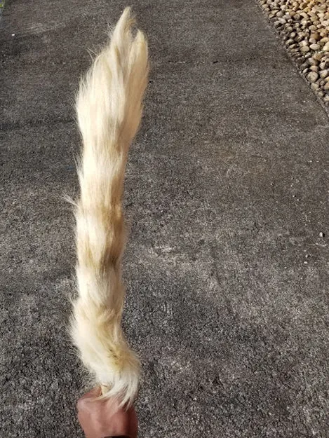 Iru Eshin African Nigerian Horse tail-DPTL500