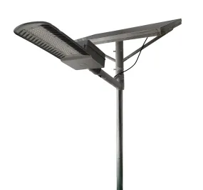 Solar Street Light 100 Watt Nightjars Series with MPPT Controller -  TTNG100W